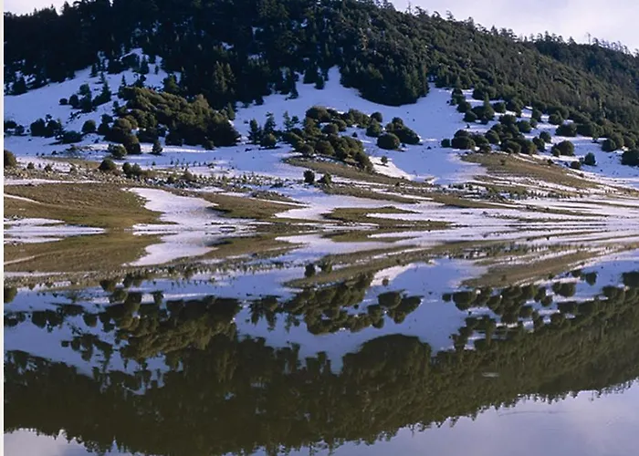 Ifrane Chalet